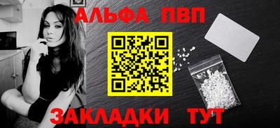 СК Кингисепп