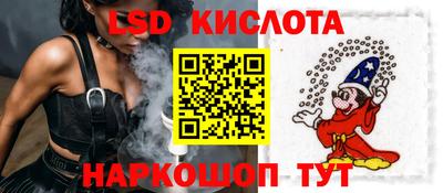 СК Кингисепп