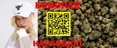СК Кингисепп