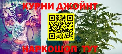 шишки Кинель