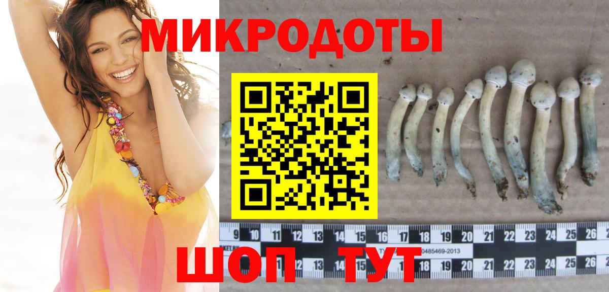 Галлюциногенные грибы ЛСД Сосновый Бор
