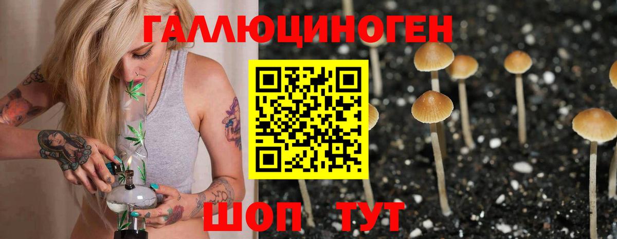 Сосновый Бор  Псилоцибиновые грибы прущие грибы  Вход с VPN  Галлюциногенные грибы мухоморы 